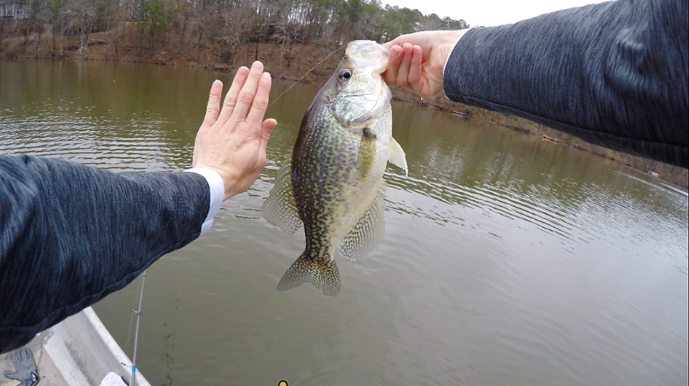 2lb crappie (2)000.PNG