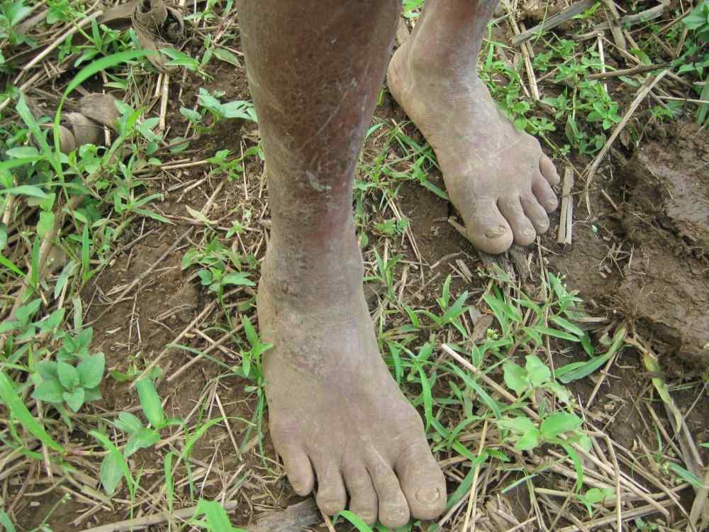 703137723_dipologfarming075.thumb.jpg.cde96b2f800ba71305155a8c1d7a3ded.jpg