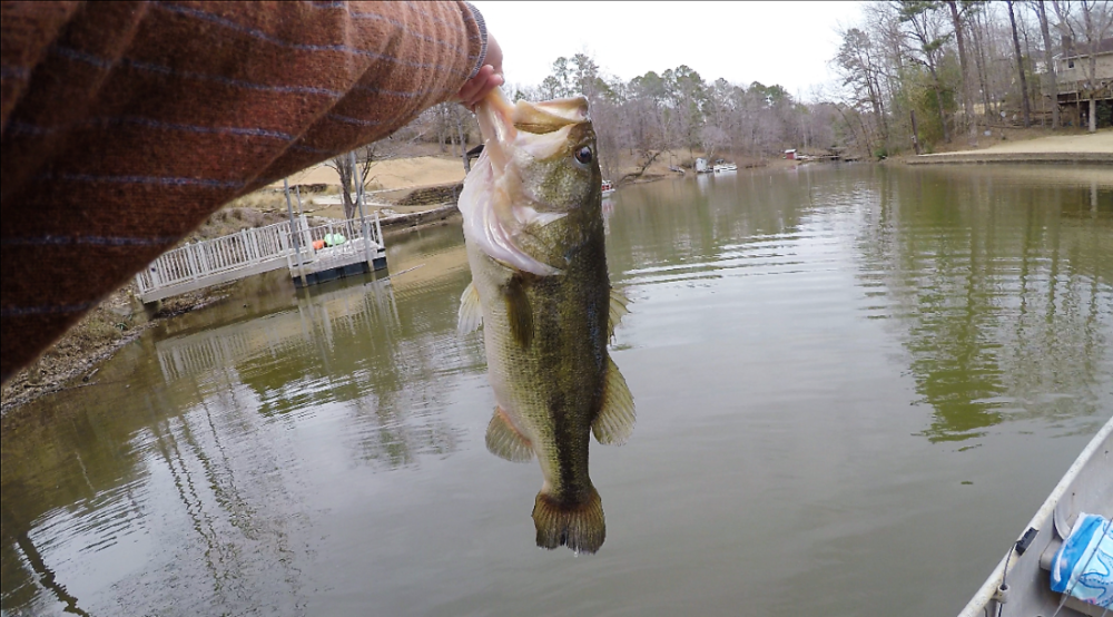 7.1 largie 2 (2)000.PNG