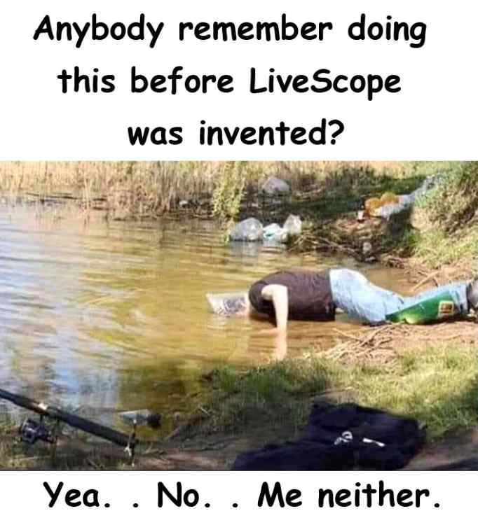 Yea No_001.jpg