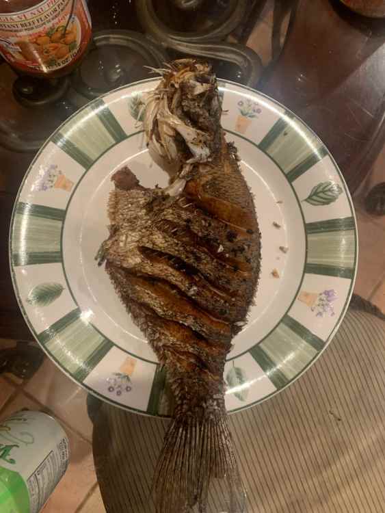 A713EA03-CF18-4487-AED2-53C58C35026B.thumb.jpeg.3ddacb5149fee54f59b64c27b0688c79.jpeg
