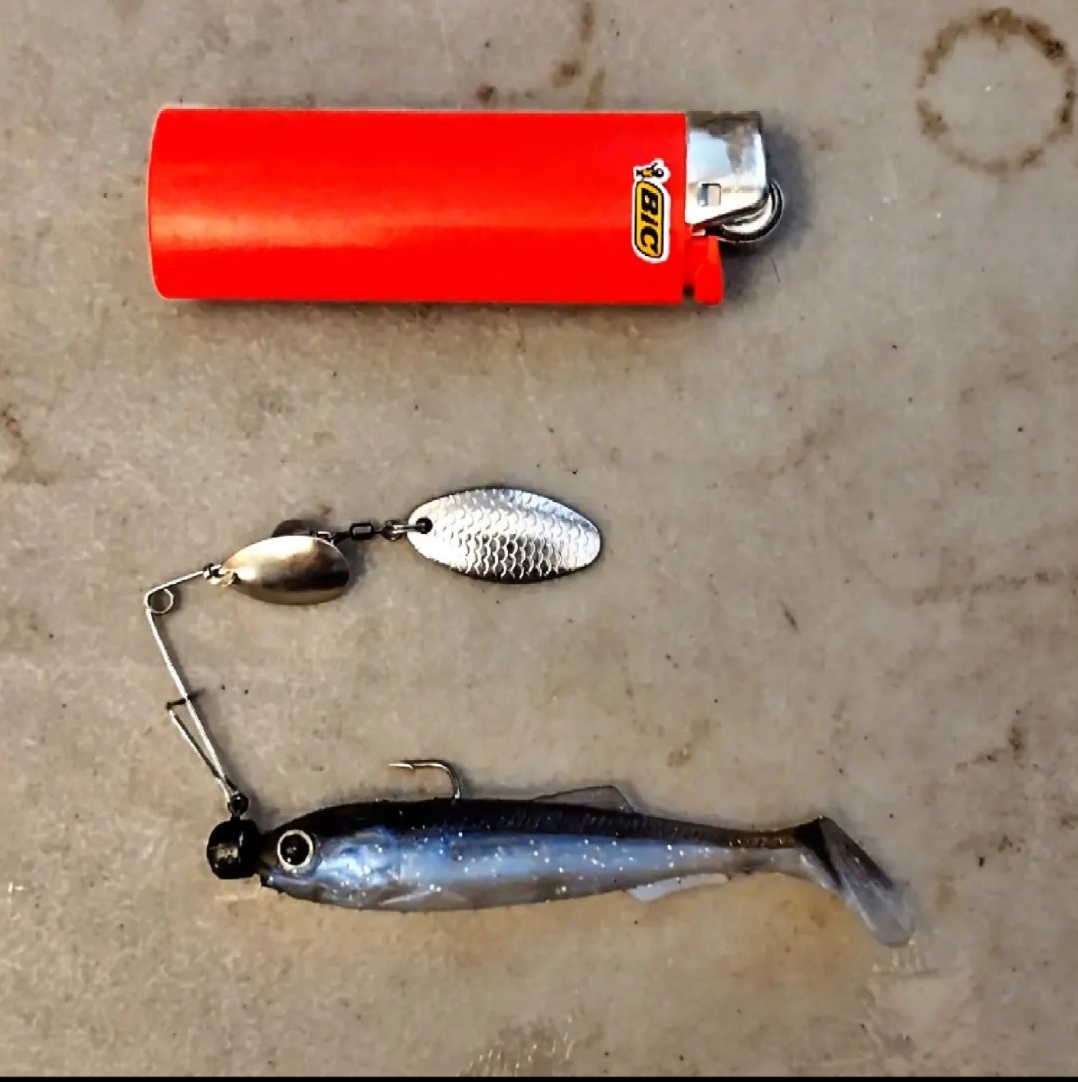 Spinner bait - Fishing Tackle - Bass Fishing Forums