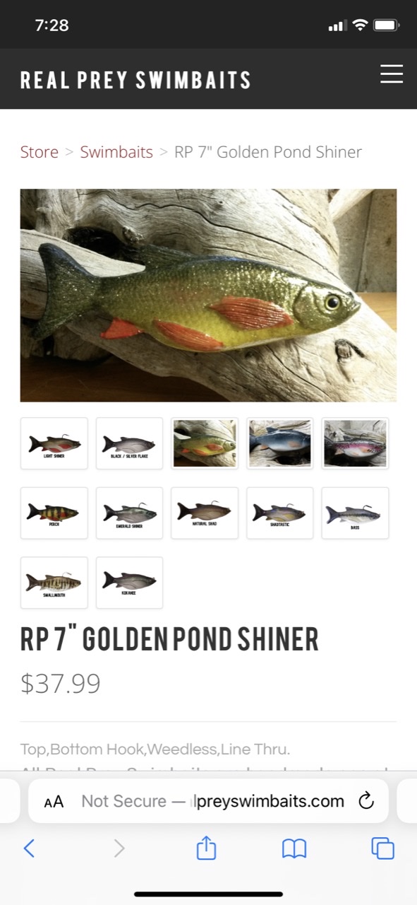 Golden shiner lures - Fishing Tackle - Bass Fishing Forums