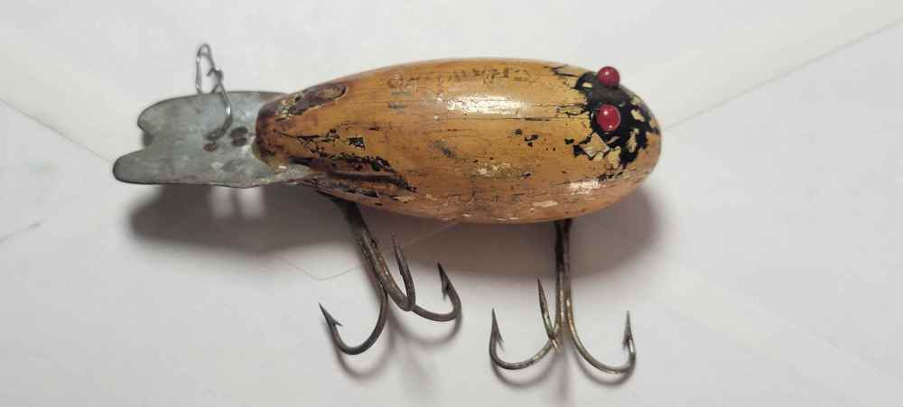 MudBug1.jpeg