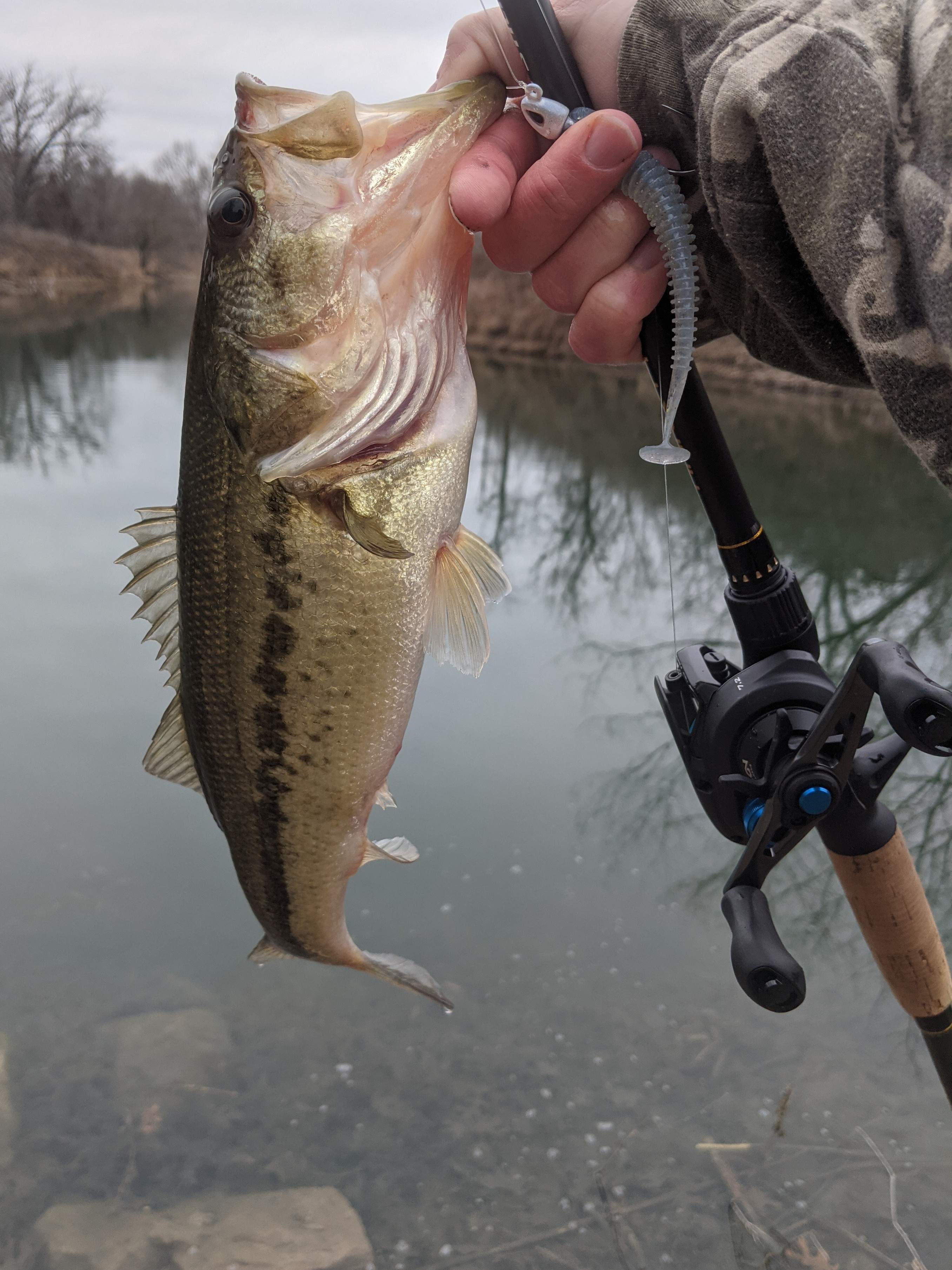 Paddle tails - Fishing Tackle - Bass Fishing Forums
