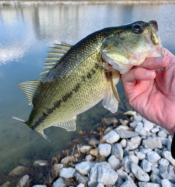 0569BECB-68AB-4722-A395-9D67E6AC6044.jpeg.31aac44076b1bd8f7a30876a34bba945.jpeg
