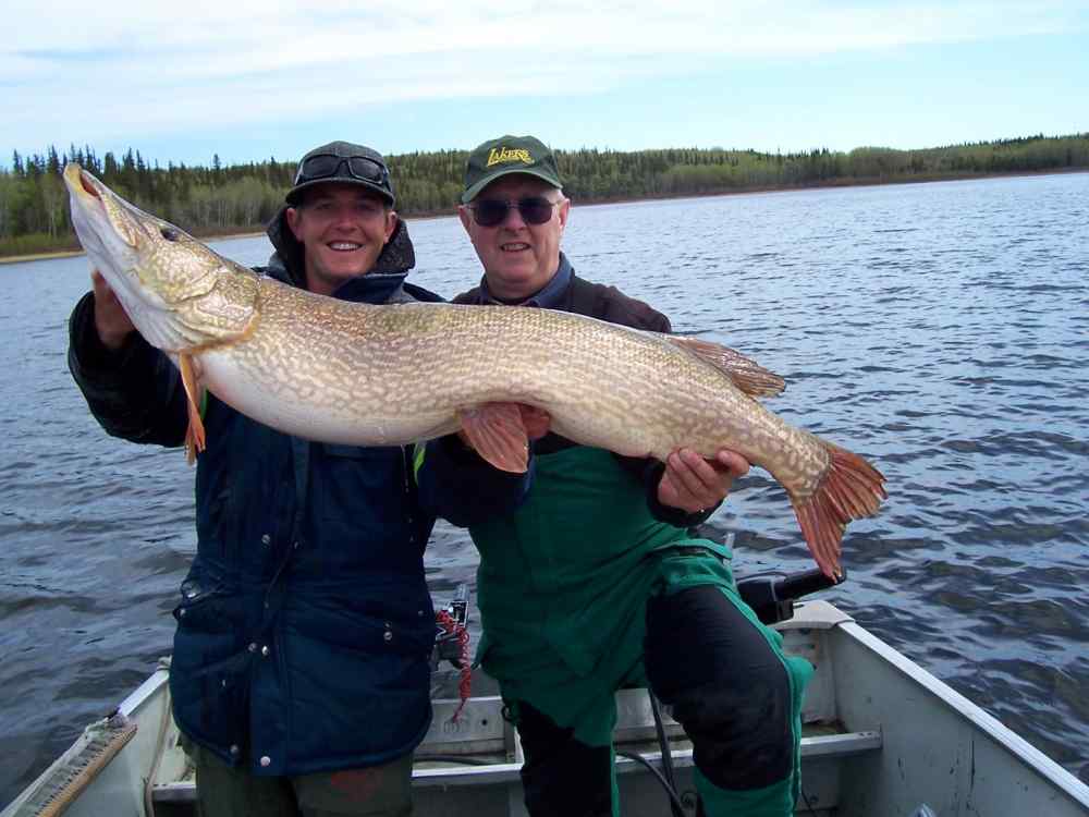 100_0955b.JPG