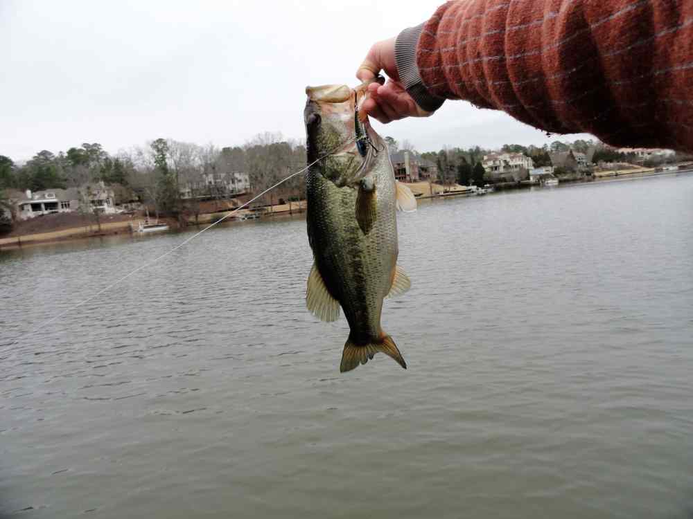1694944453_DSC05928(2)000.thumb.JPG.5997f700a4960d5f174d97646da719a8.JPG