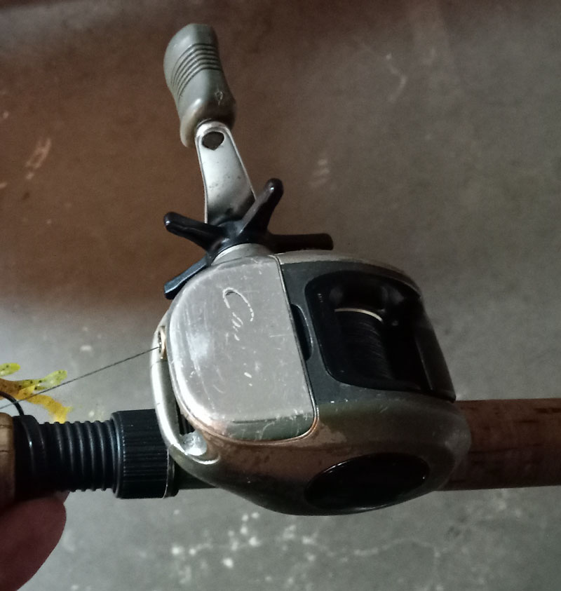 Best casting reel for pitching and flipping? - Fishing Rods, Reels, Line,  and Knots - Bass Fishing Forums