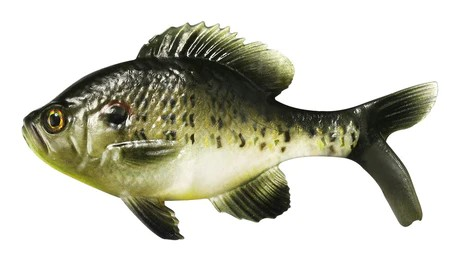 image.png.49fd414b718d9a887dbed39a7de95af4.png