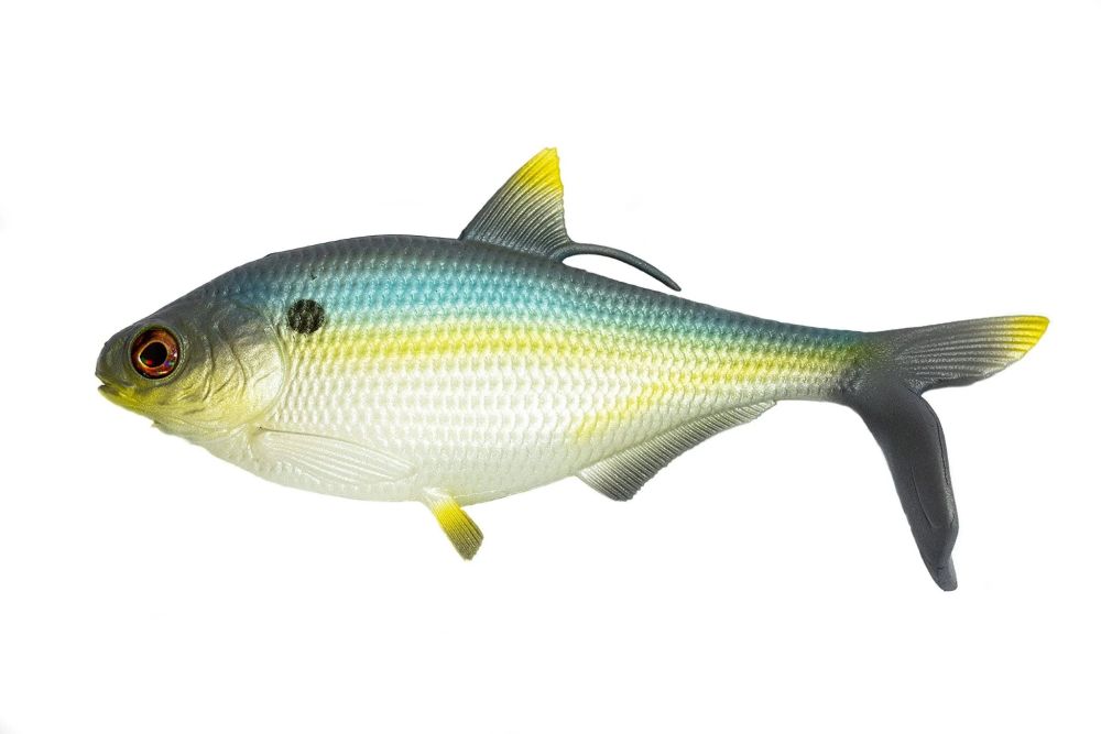 image.thumb.png.6acc148e007aef4bfb1d4503ccb6d20d.png