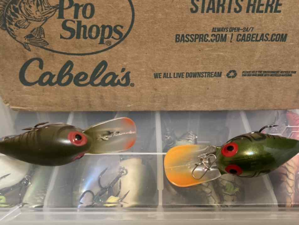 Storm Wiggle Wart Colors ? - Fishing Tackle - Bass Fishing Forums