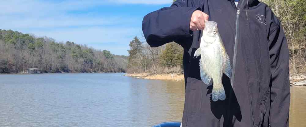 20230310_144020.thumb.jpg.31555d593e07605b1eb178a6f813e0fb.jpg