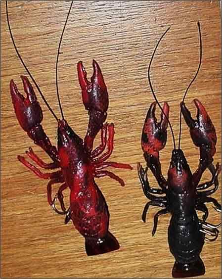 BDCraws.JPG.1a418032dc076589dbeb521966b385b0.JPG