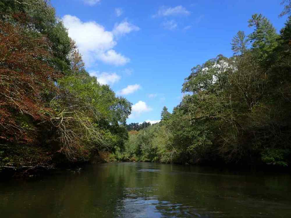 More river pics....jpg