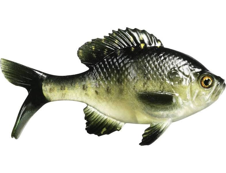 image.png.4618be1a5a13ee2abdc10e02948af741.png