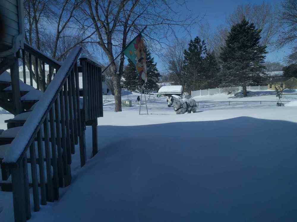 march053.thumb.jpg.4779d46b1bd98b2b46fe97952661ff46.jpg