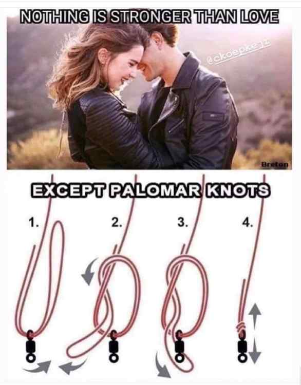 pAlomerknot.thumb.jpg.ae37afbff268e9764ee5b0ce76e78752.jpg