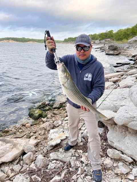 My PB Striped bass - Other Fish Species - Bass Fishing Forums