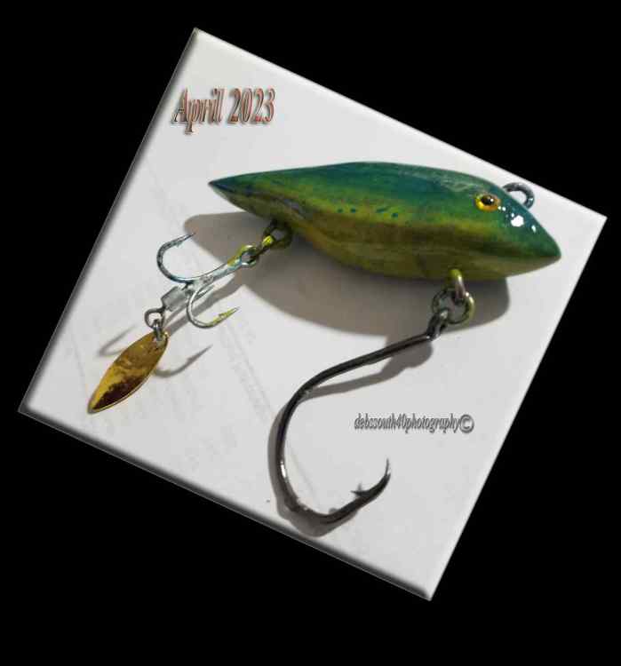 Project_20230415_3237.jpg