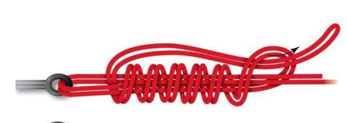image.png.6d19c939cb3d008d0f776d9a65ee2e78.png