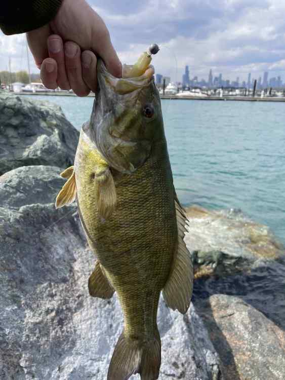 smallie2.jpg