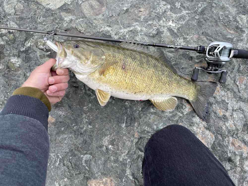 smallie4.jpg
