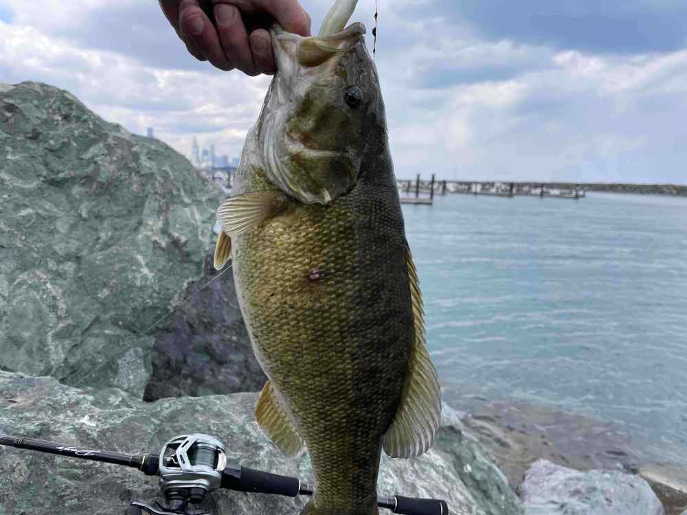 smallies.jpg