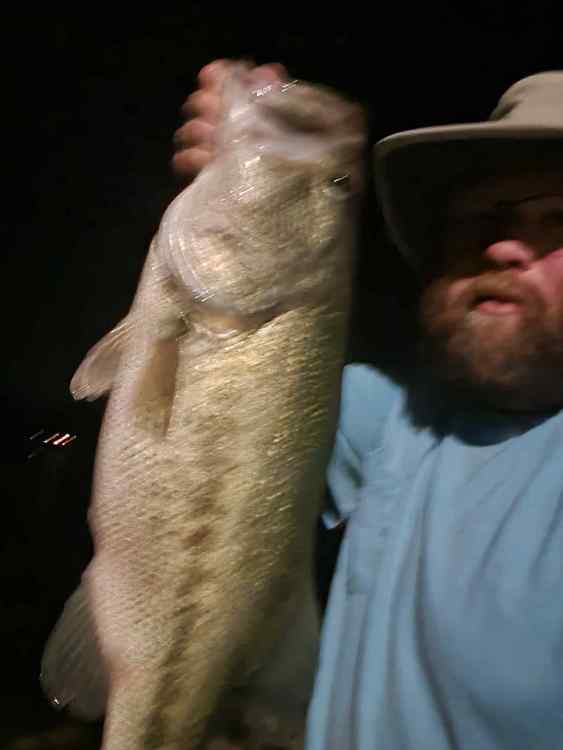 20230520_220719.jpg