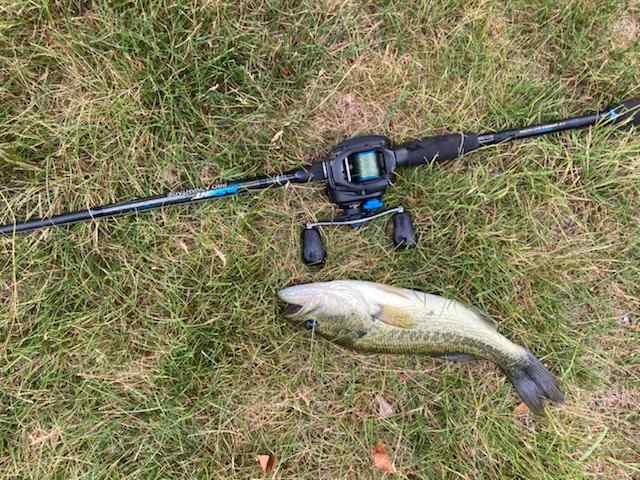 Cheapest rod I have ever owned, and I actually like it. - Fishing Rods,  Reels, Line, and Knots - Bass Fishing Forums