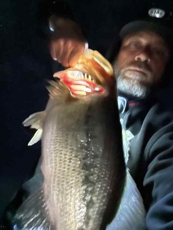 bass6.jpg