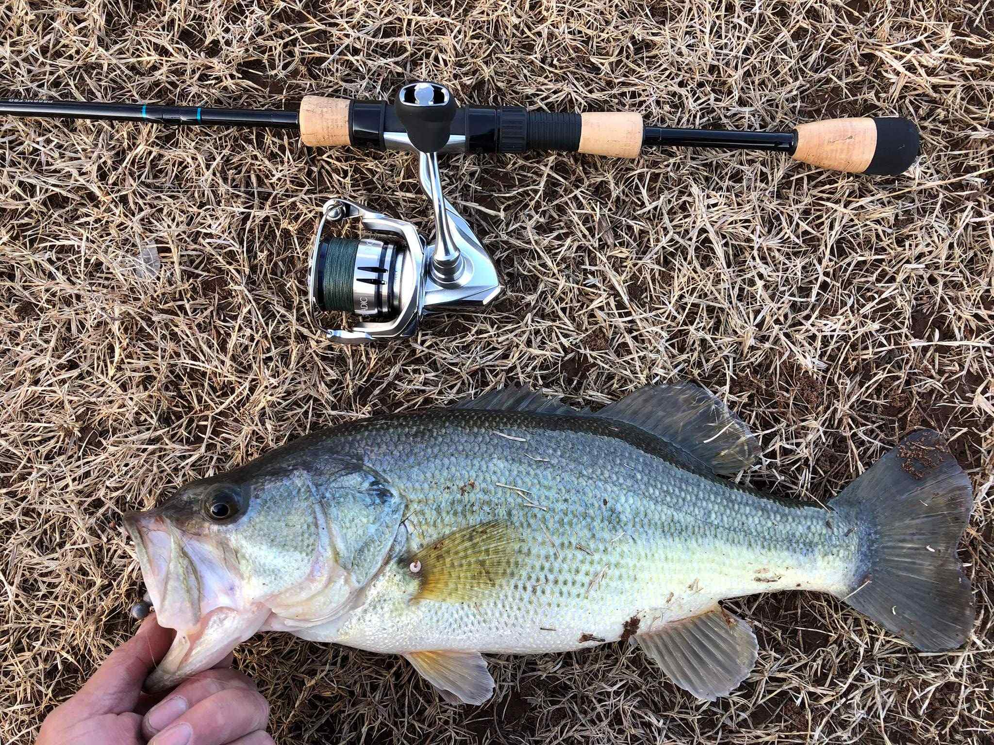 500 size spinning reel? - Fishing Rods, Reels, Line, and Knots - Bass  Fishing Forums