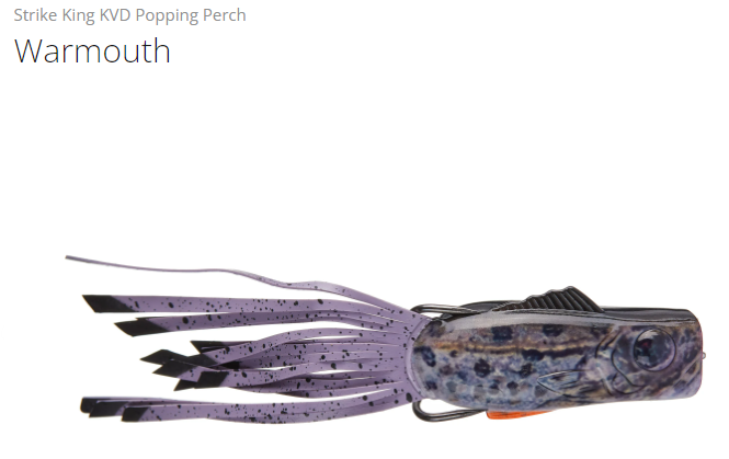 image.png.bec03046be46a4ea836cee45ddf21534.png