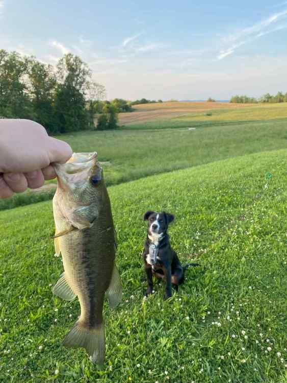 image.thumb.jpeg.7dd3e02572d07d03b90ef556399871e8.jpeg