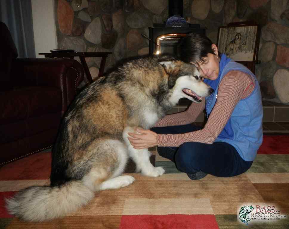large.RememberingFenway5.jpg.5fdbeab2bfadaaaac9d7581487e684b8.jpg