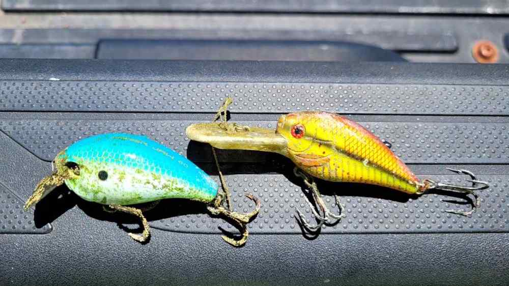 lures.thumb.jpeg.ae41542bb22c1290416b86b938756e1b.jpeg