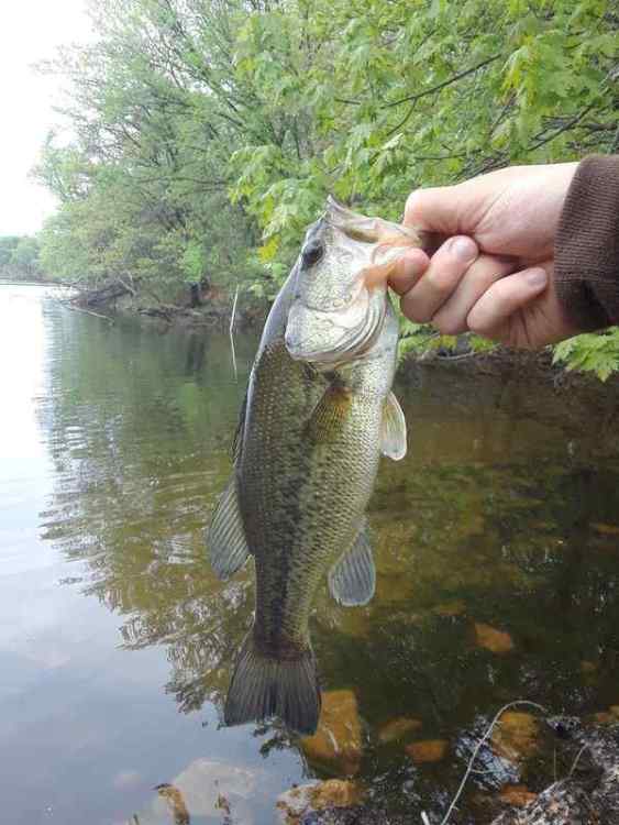 opener1.jpg