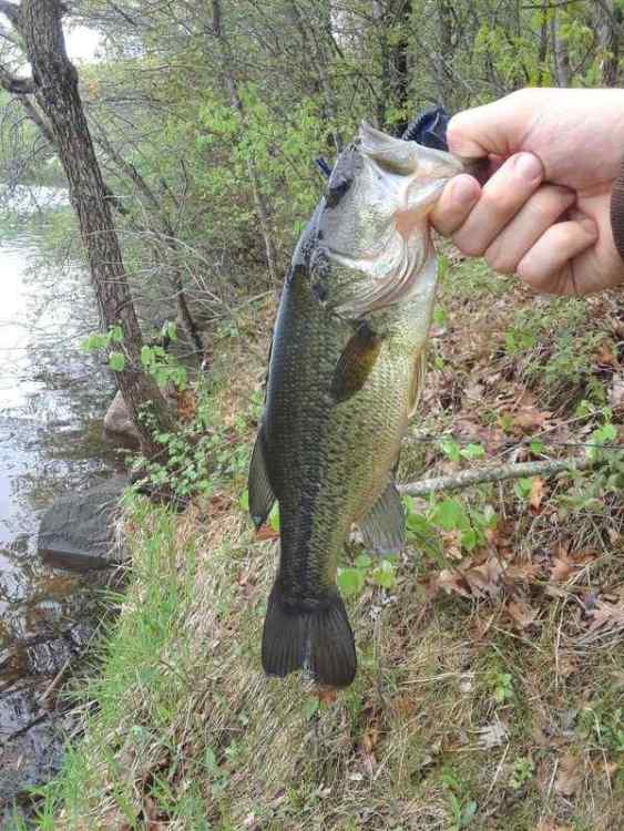 opener3.jpg