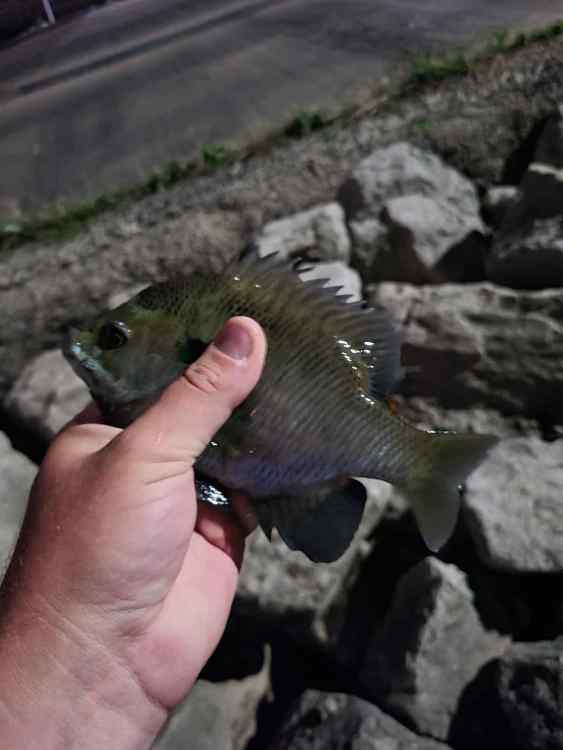 20230602_132707.jpg