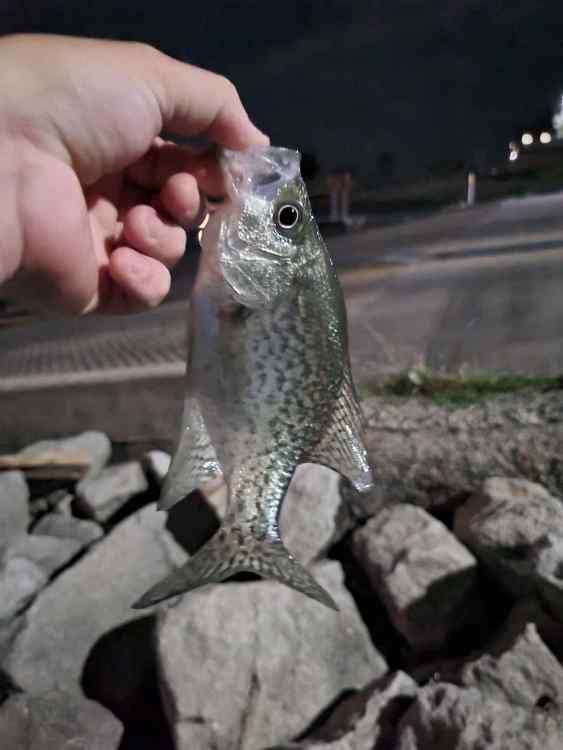 20230602_132743.jpg