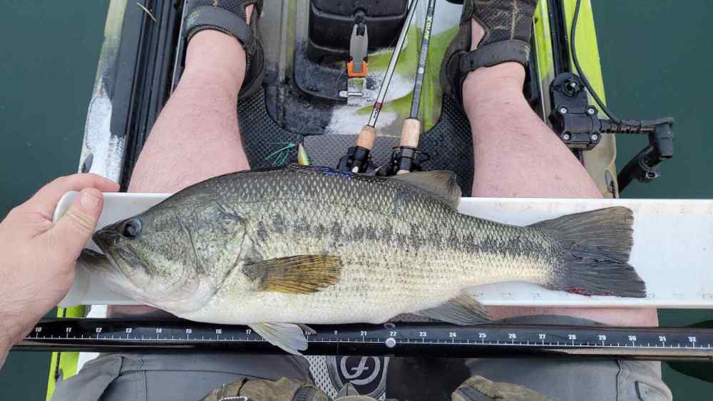 20inch4.18_230607.thumb.jpg.85a2dbbff7f47e92acabc041e86836e4.jpg