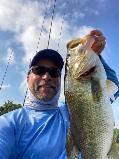 Color you wish more companies would make in soft plastics - Fishing Tackle  - Bass Fishing Forums