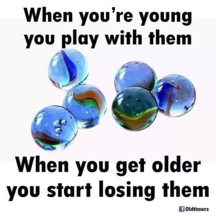 FB_IMG_1686197515824.jpg