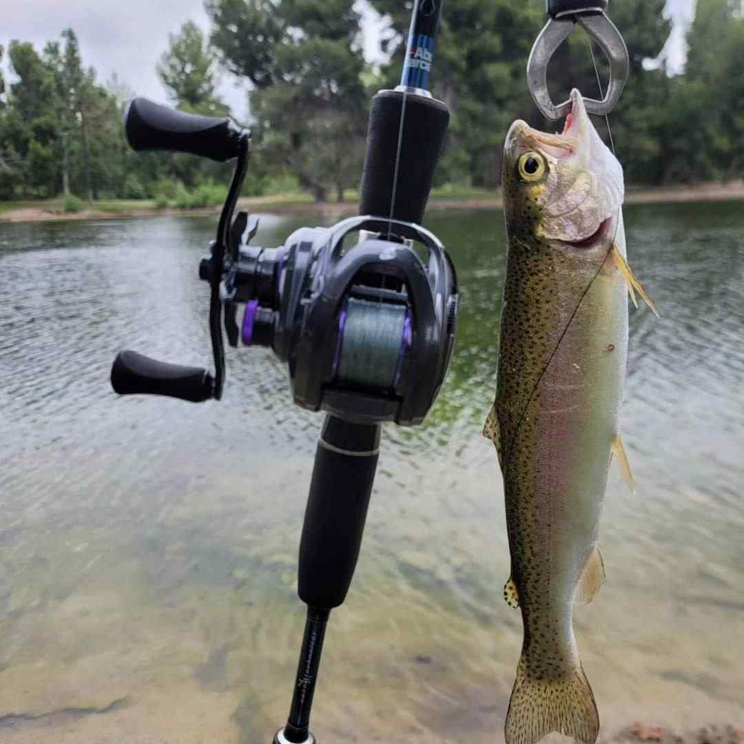 Trout Fishing Rod, Bfs Fishing Rod, Bfs Trout Rod, Micro Ul Rod