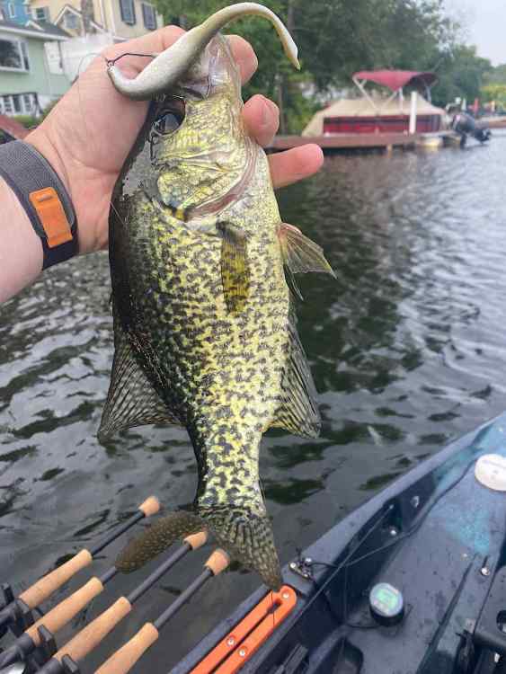 IMG_0215.thumb.jpeg.5a87118d946577161b41865c7b6b12f0.jpeg