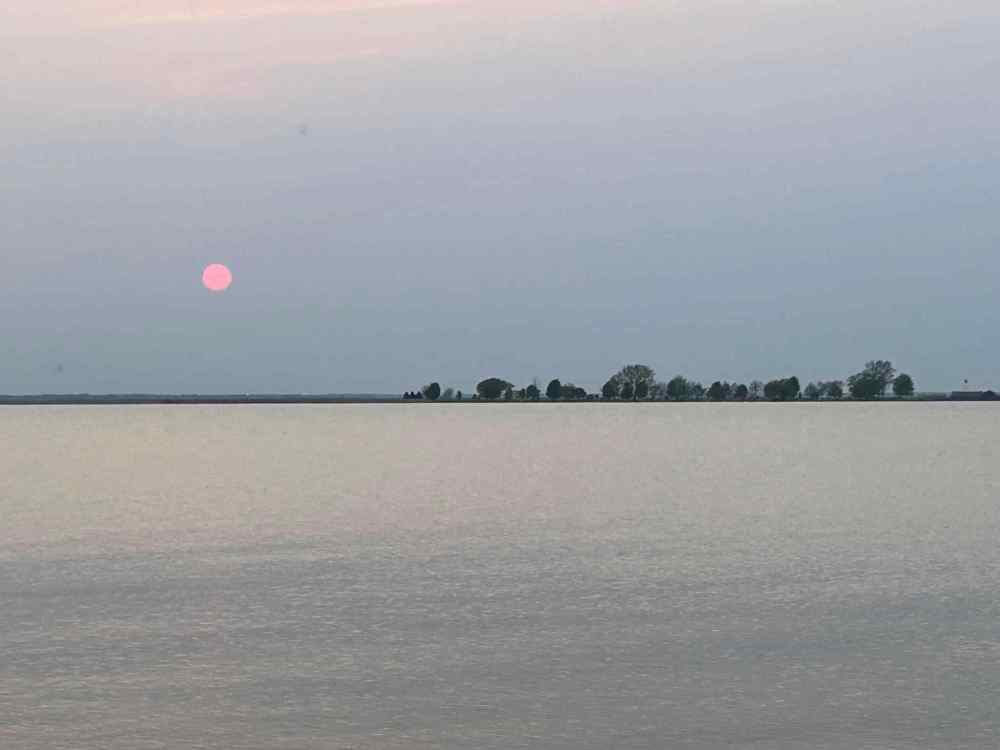 IMG_1238.jpeg