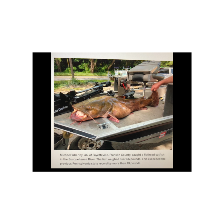 IMG_2023-6-8-133600.thumb.png.54b96125ed511854687df799b07345de.png