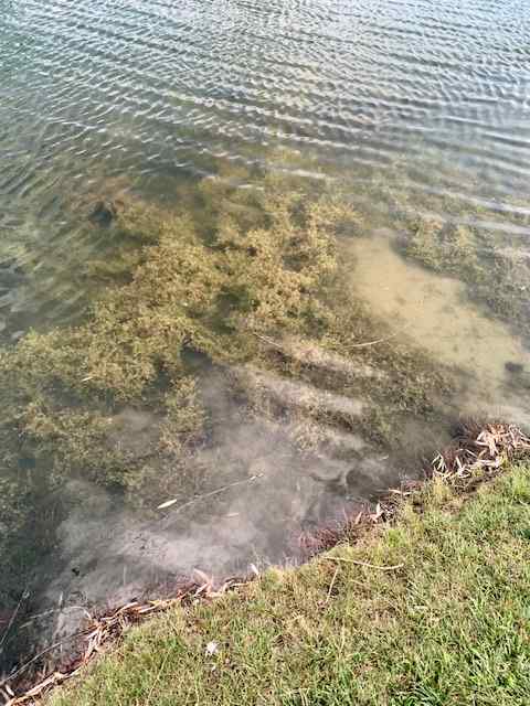 IMG_7436.jpeg.be091c006cbf967d42f906c794819c21.jpeg
