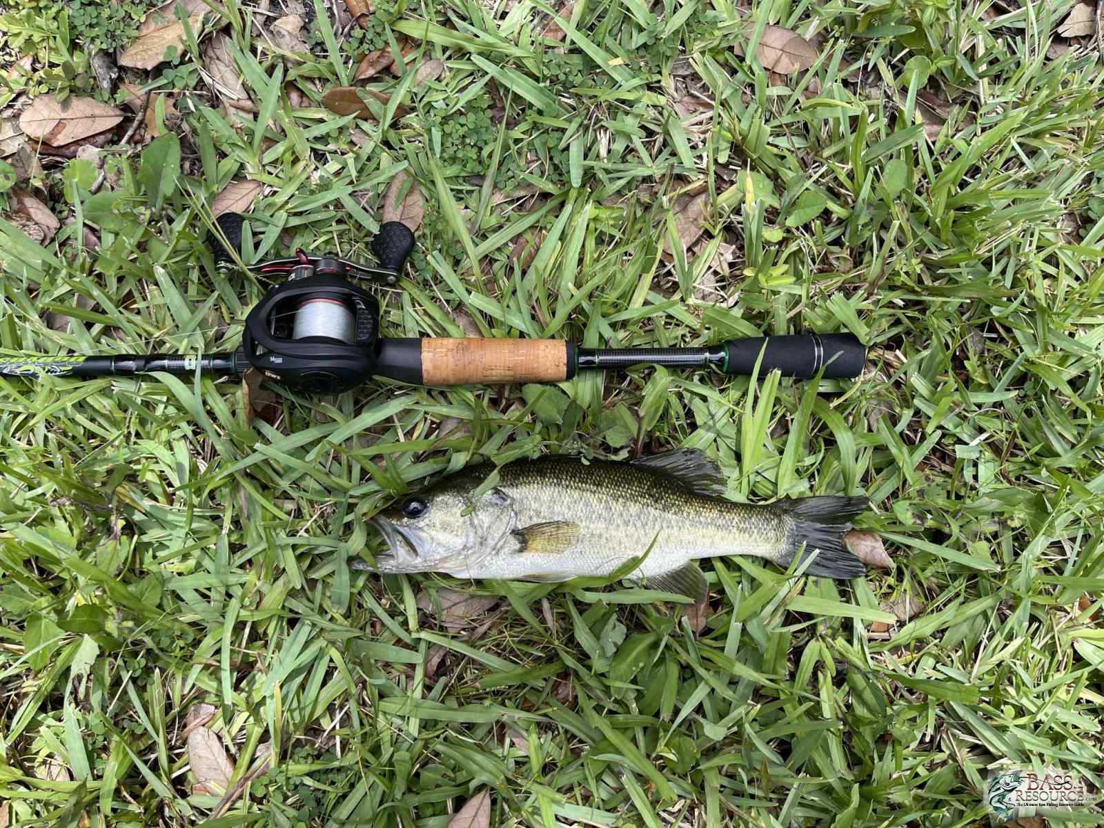 large.IMG_4663.JPEG.a35bf7b45df468772e58614ca66ec61e.JPEG