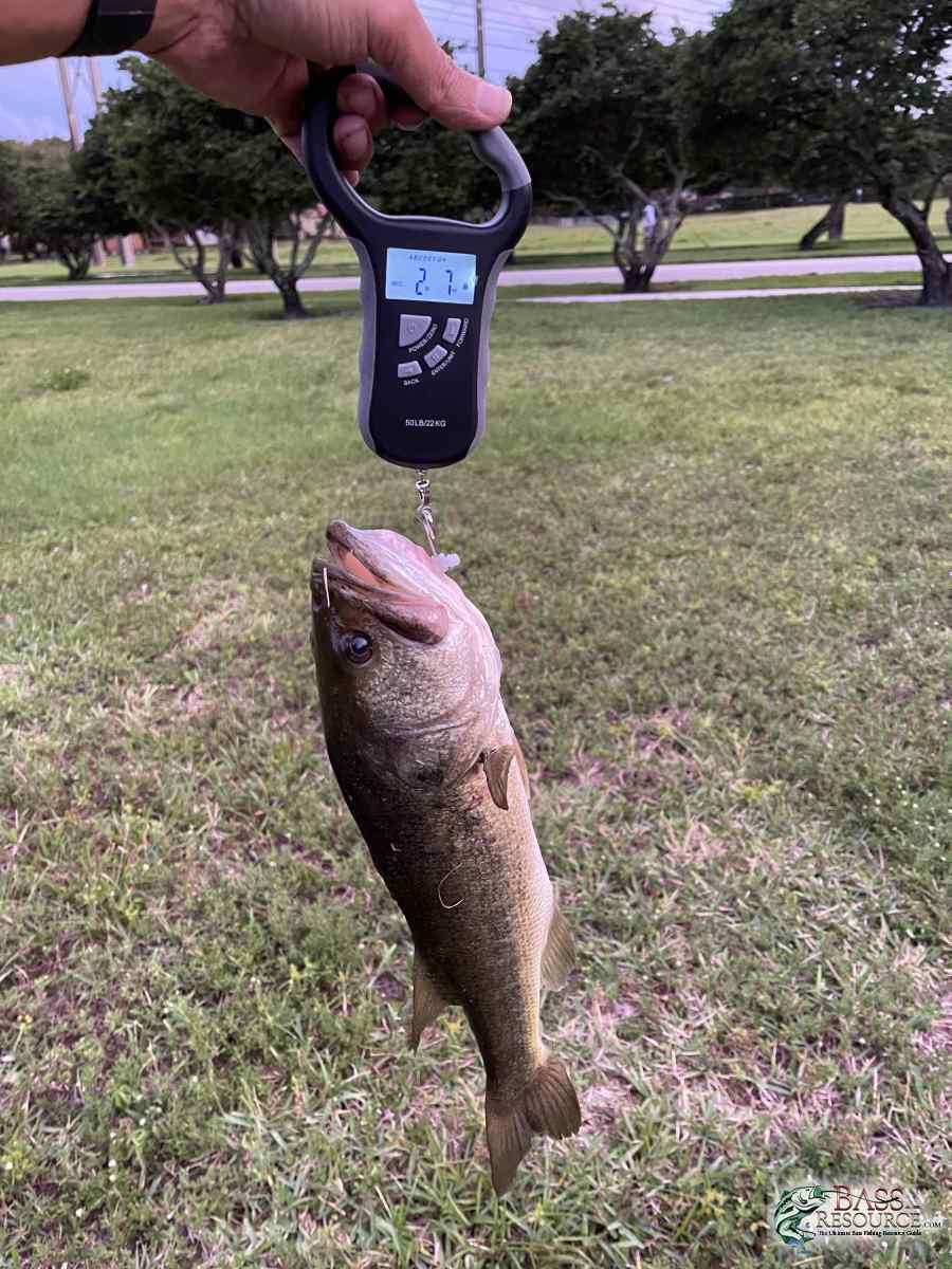 large.IMG_4669.jpeg.9bfa33f873ca291d1e692bf305ac8074.jpeg